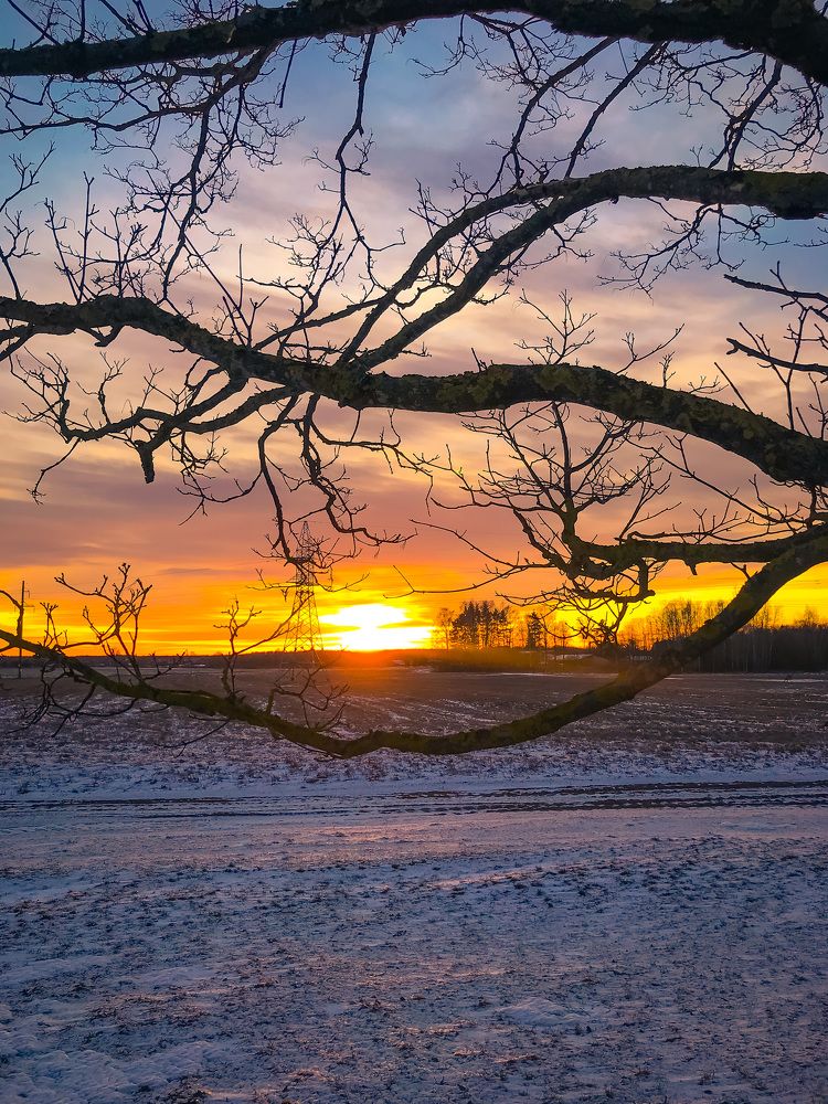 Photograph by Армен Егиян