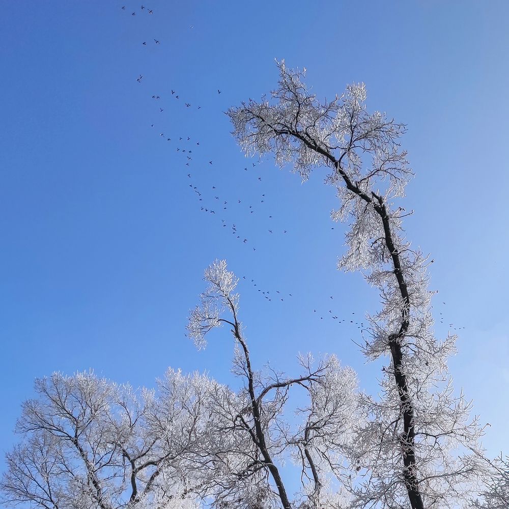 Photograph by Ислам Мирсаитов