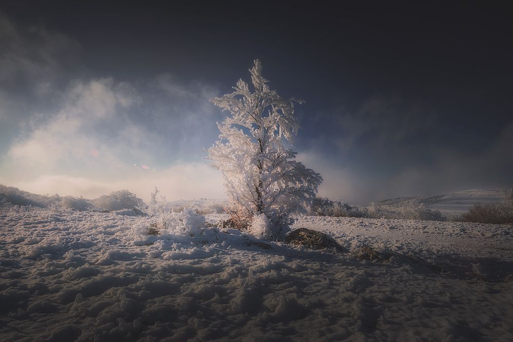 Photograph by Алексей Агеев