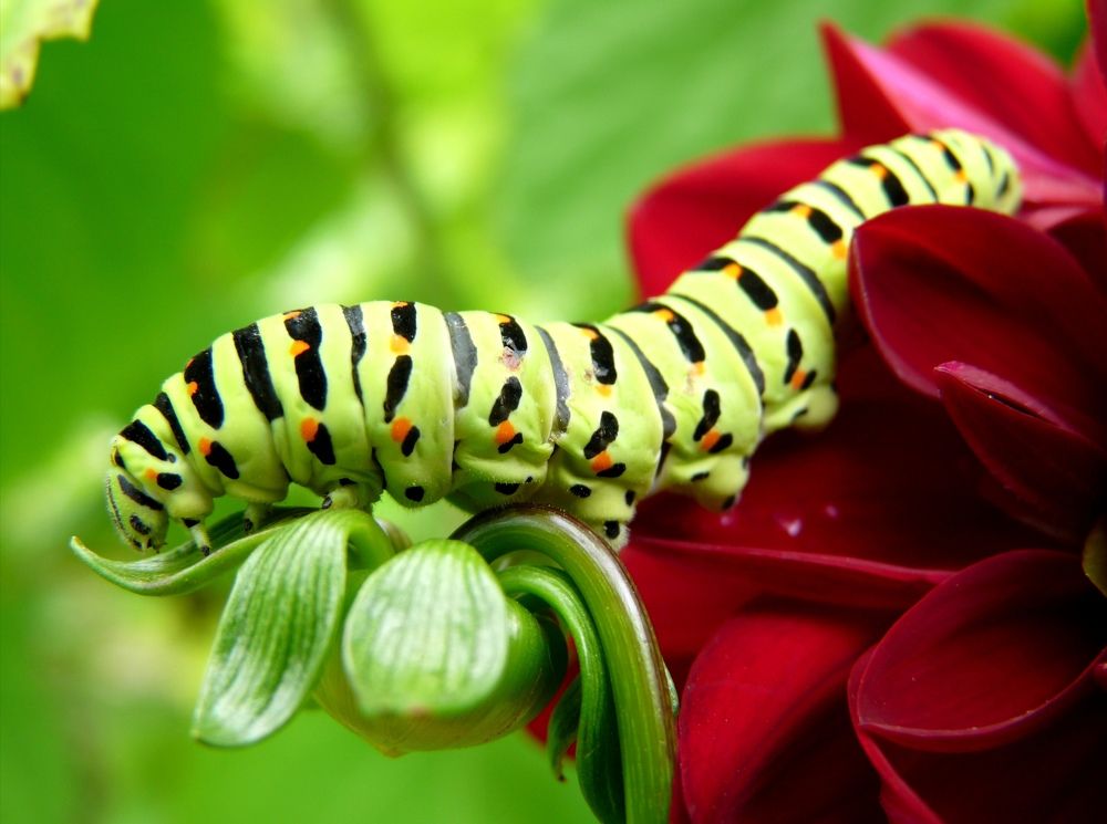 Photograph by Юлия