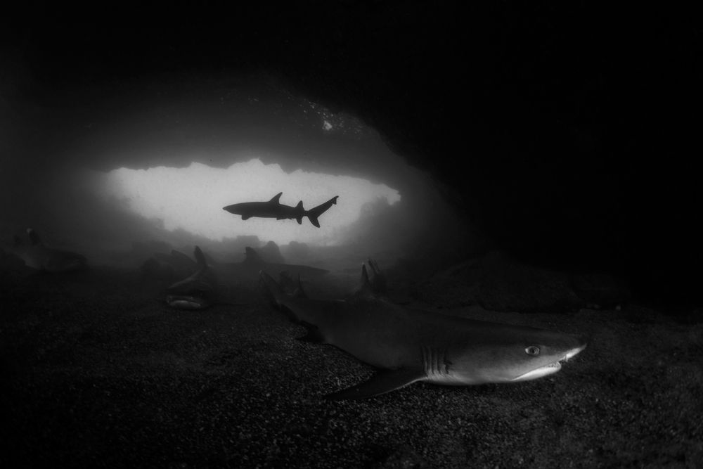 Photograph by daniele comin