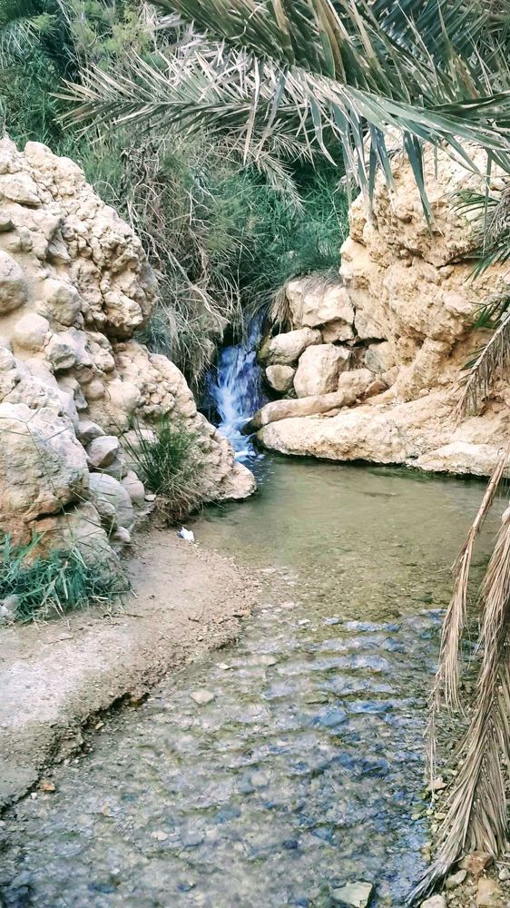 Photograph by Sakhria Mbarki