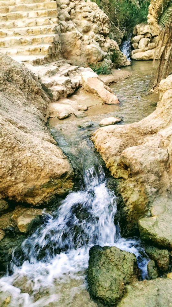 Photograph by Sakhria Mbarki