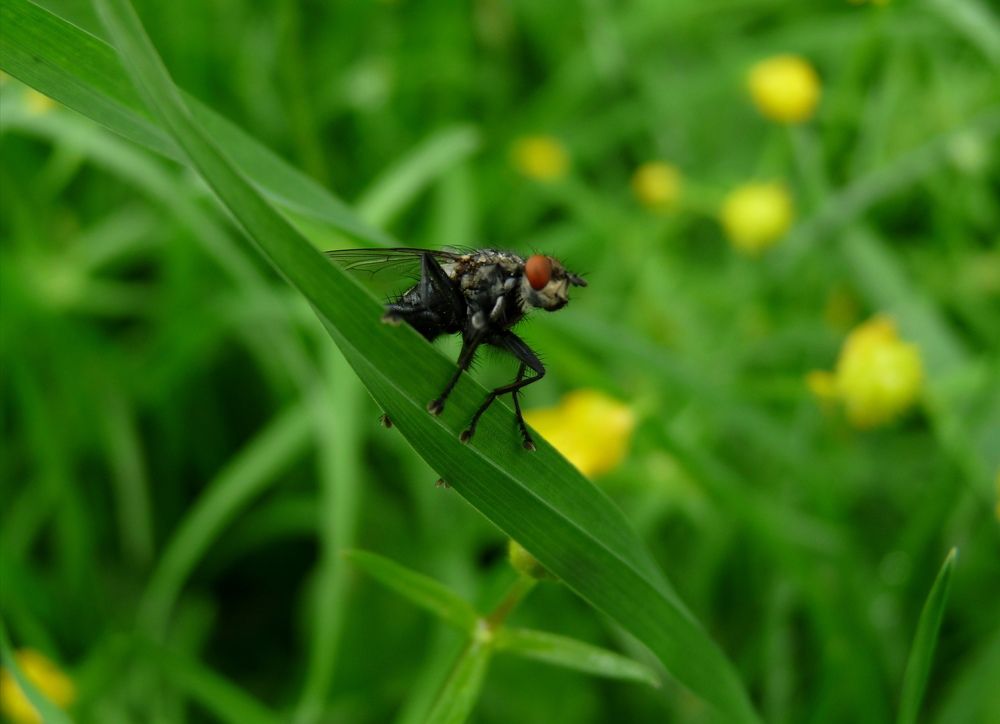 Photograph by Юлия