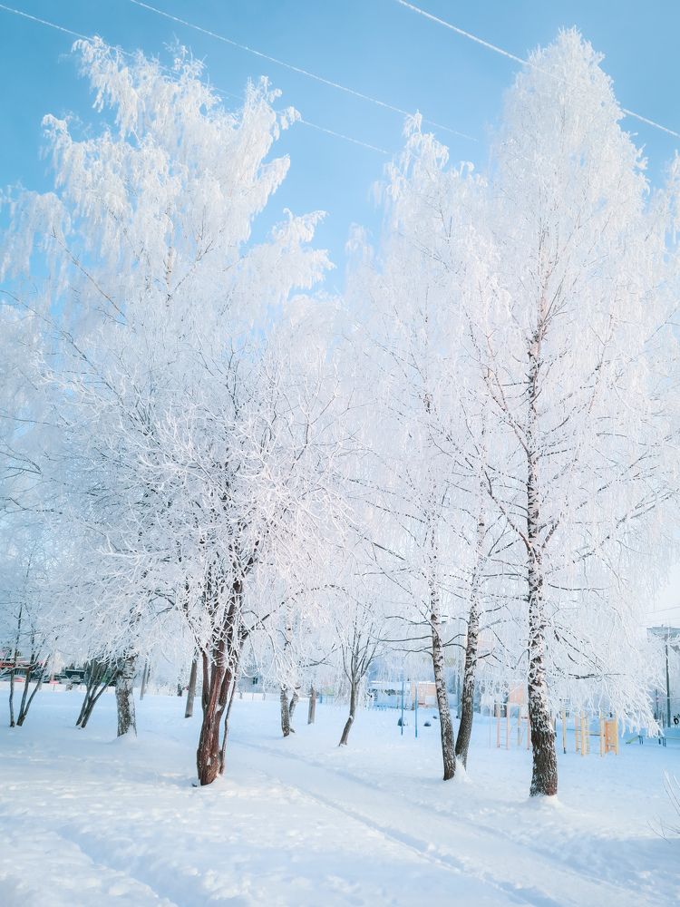 Фотография автора Дмитрий Войнов