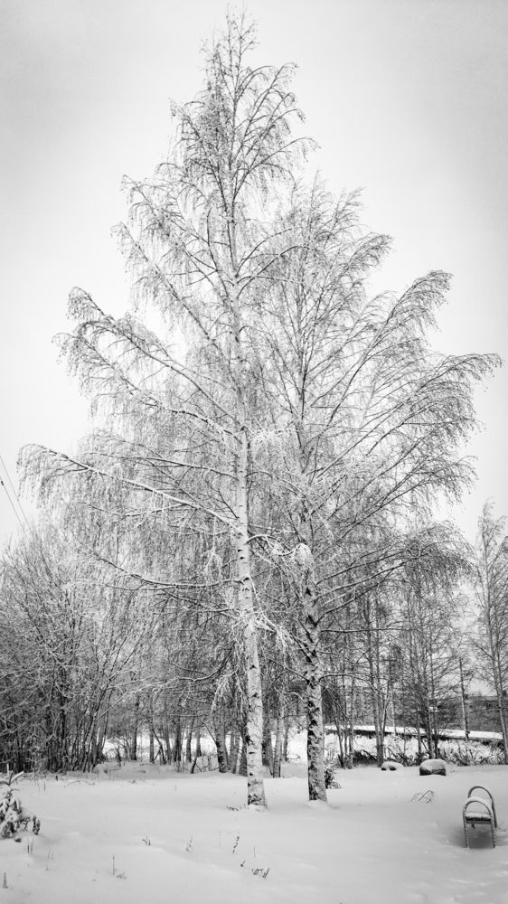 Фотография автора Дмитрий Войнов