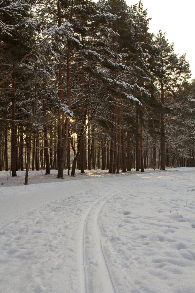 Photograph by Olga Min