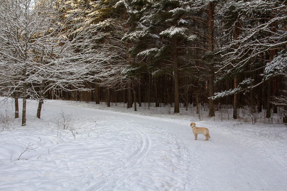 Photograph by Olga Min