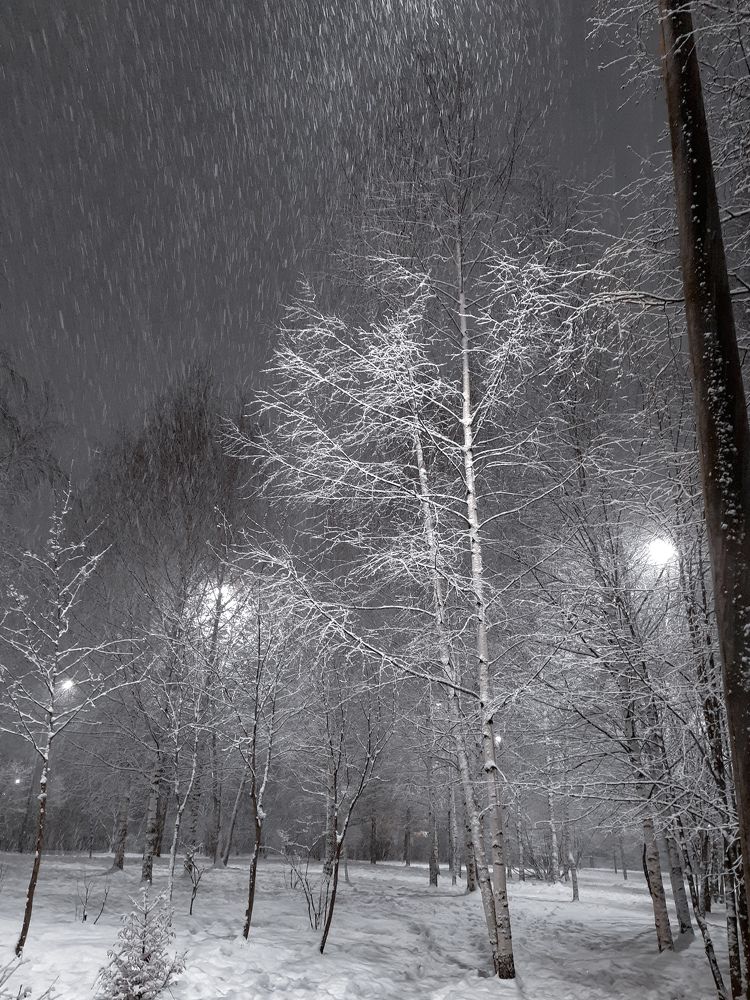 Фотография автора Дмитрий Войнов