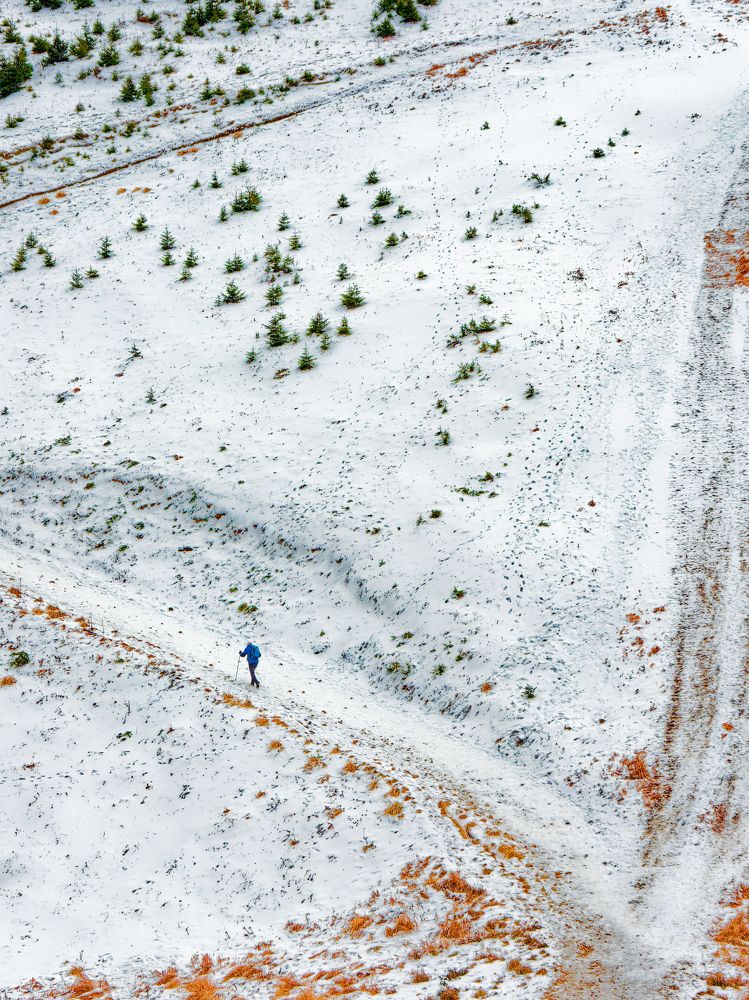 Photograph by Marius Surleac