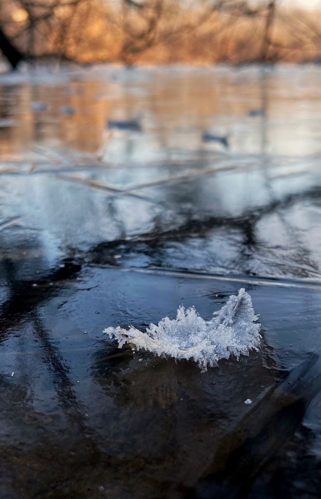 Photograph by Косяченко Светлана