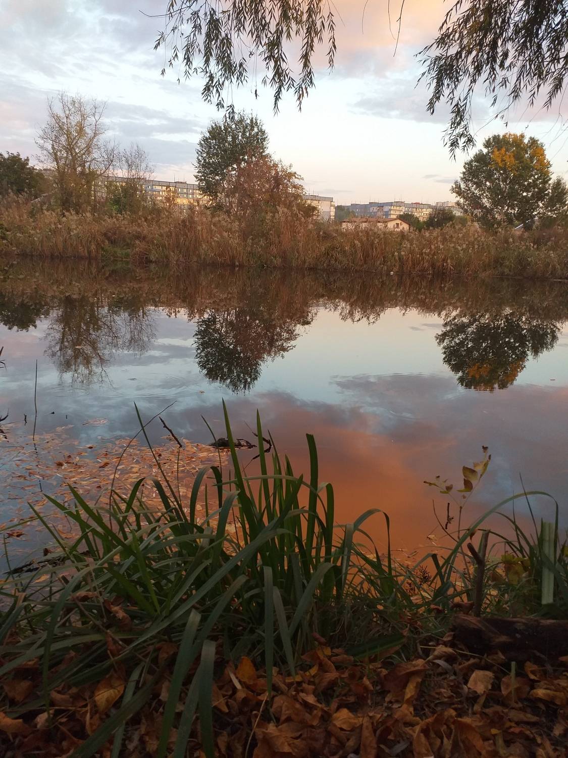 Photo #7081138
