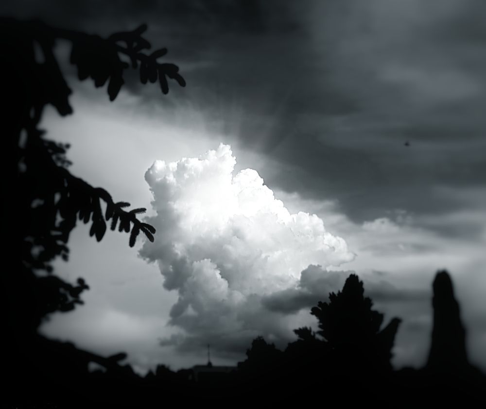 Photograph by Юрий Моргунов