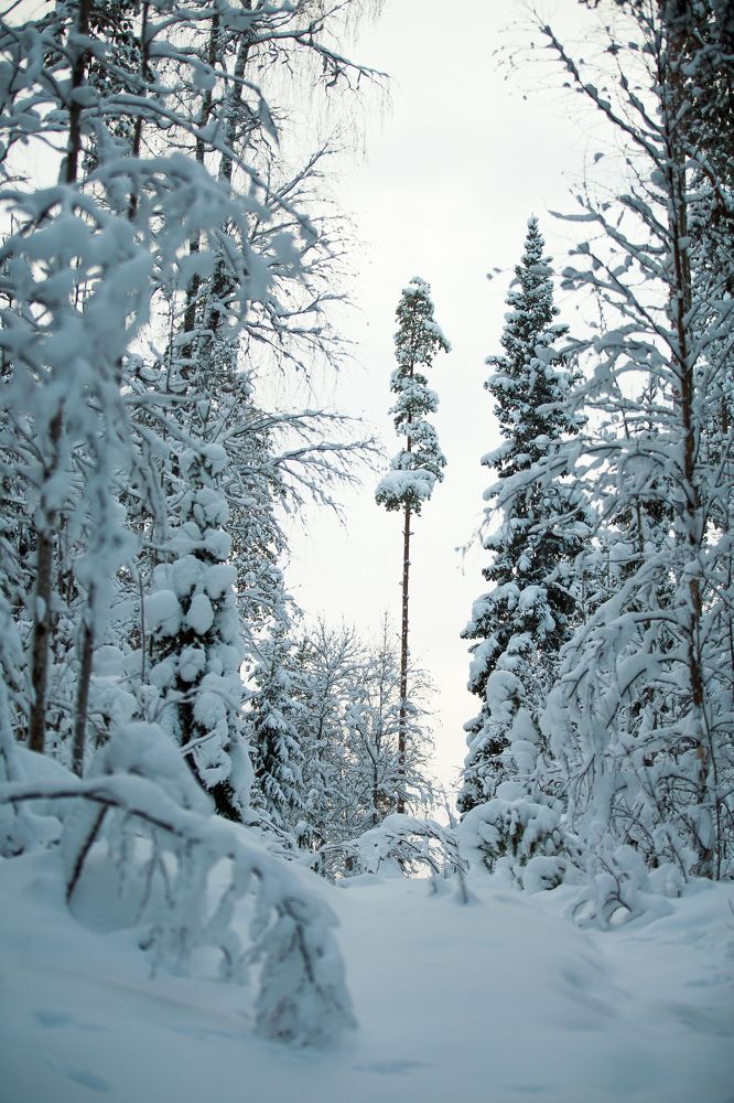 Photograph by Анатолий Буянов