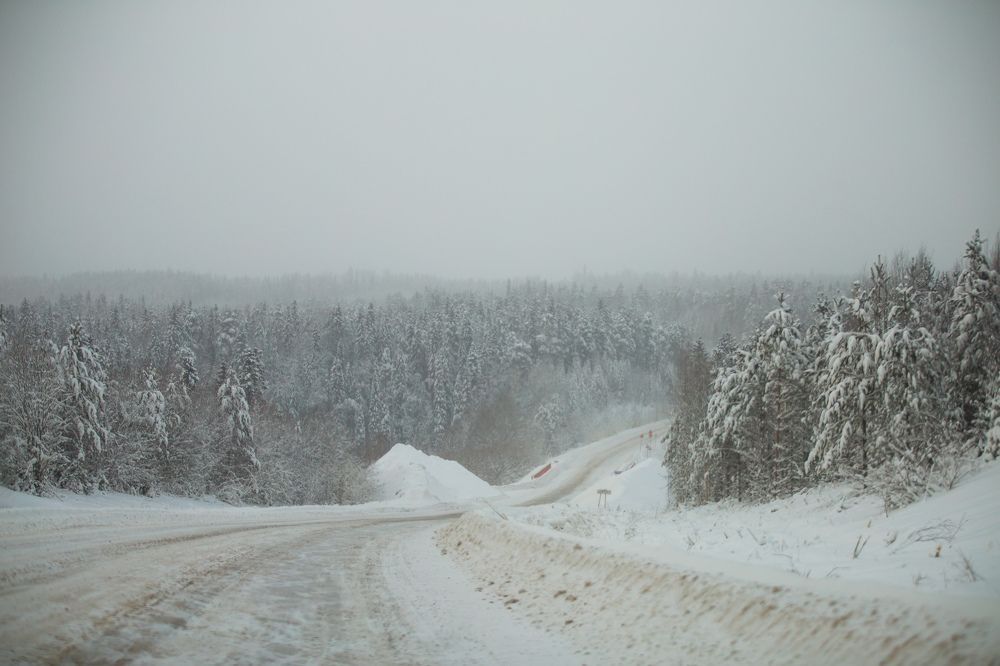 Photograph by Анатолий Буянов