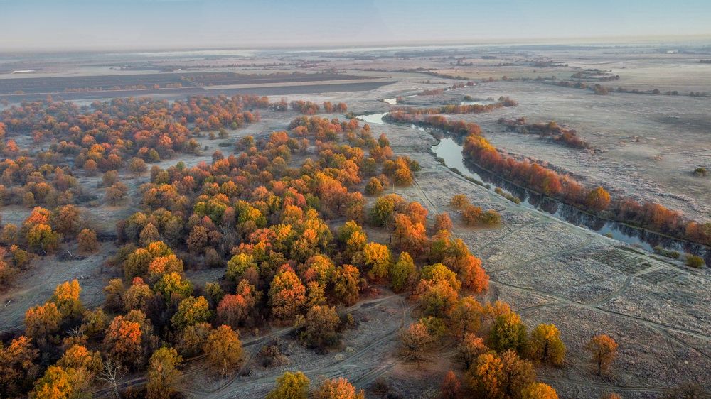 «ОСЕННЕЕ УТРО»