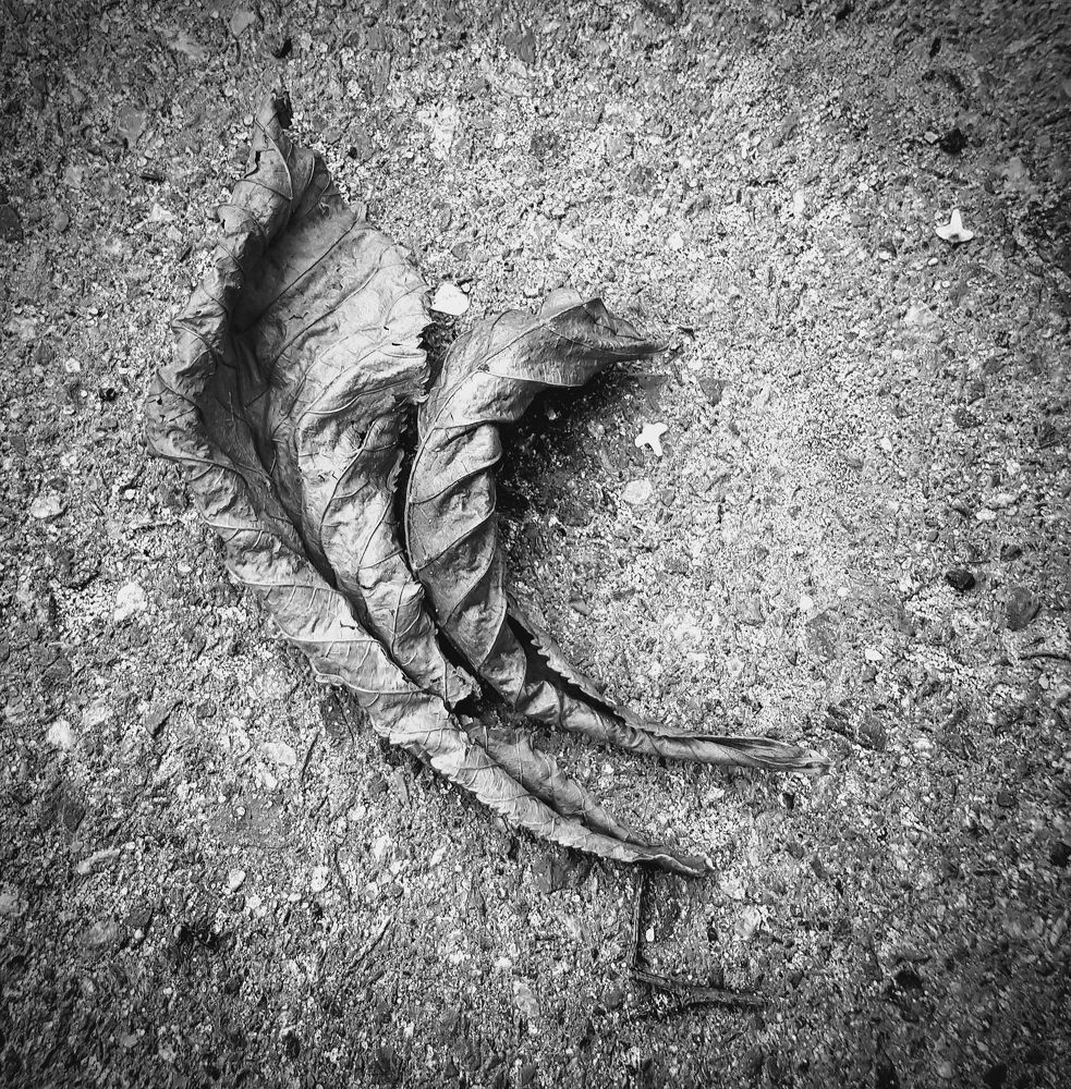 Photograph by Юрий Моргунов