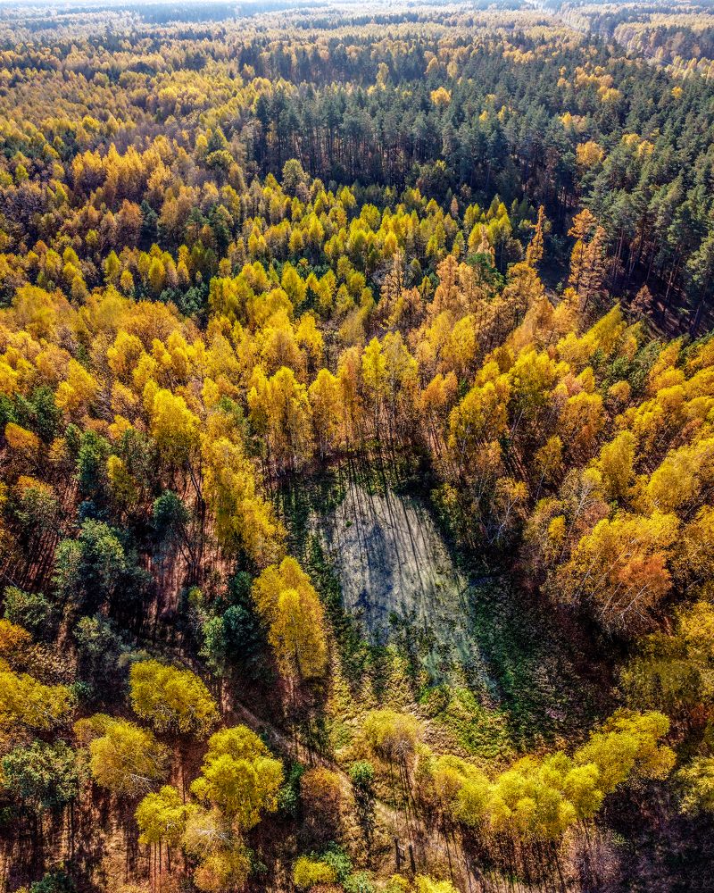 «ЛАРИН ПРУД»