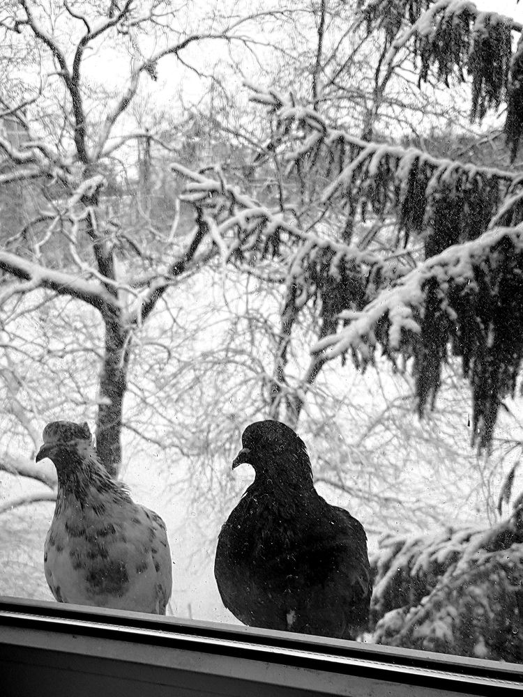 Photograph by Юрий Моргунов