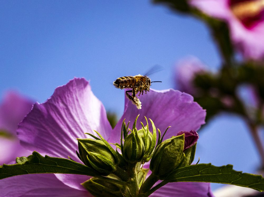 Фотография автора Andrej Levius