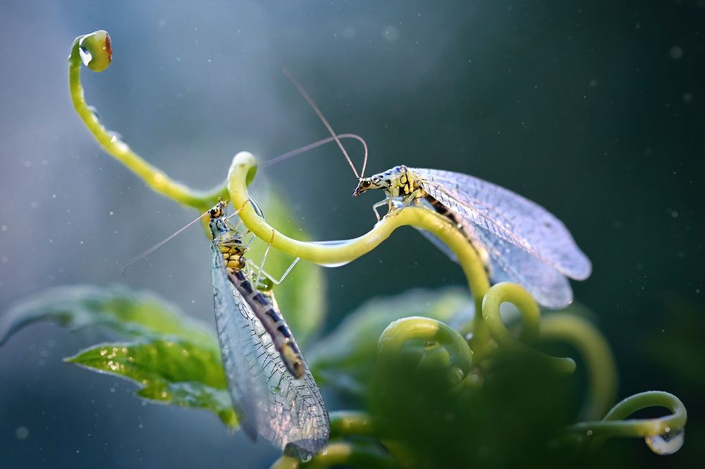 Привет, уже утро!