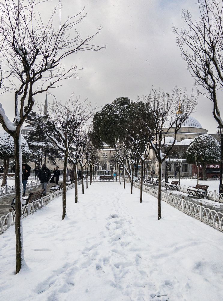 Photograph by Наталья К