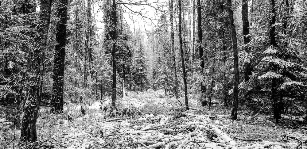 Photograph by Луценко Роман