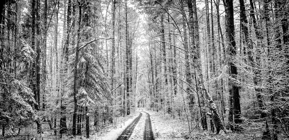 Photograph by Луценко Роман