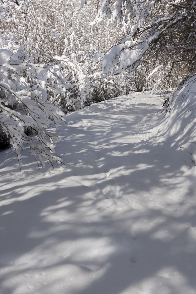 Photograph by HB Photography