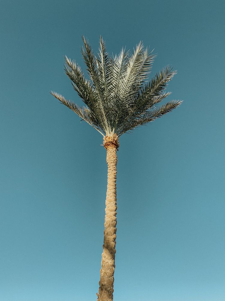 Photograph by Данила Богданов