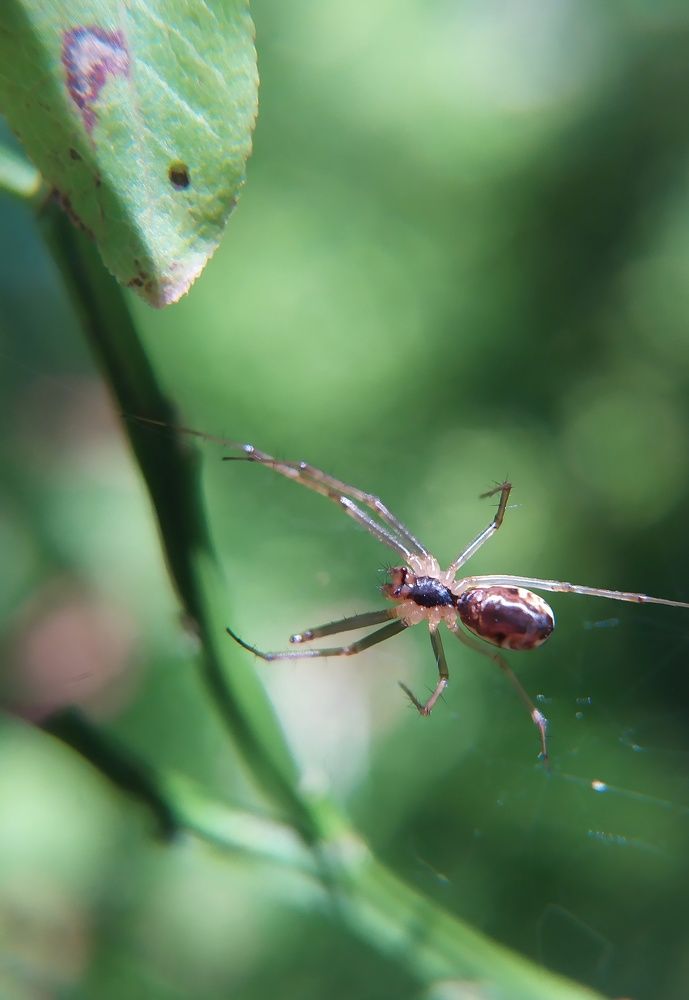 Photograph by Любовь Сухова