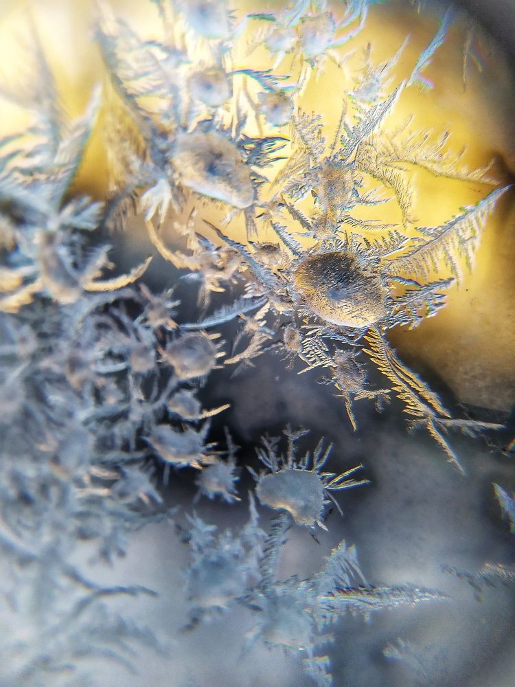 Морозный узор