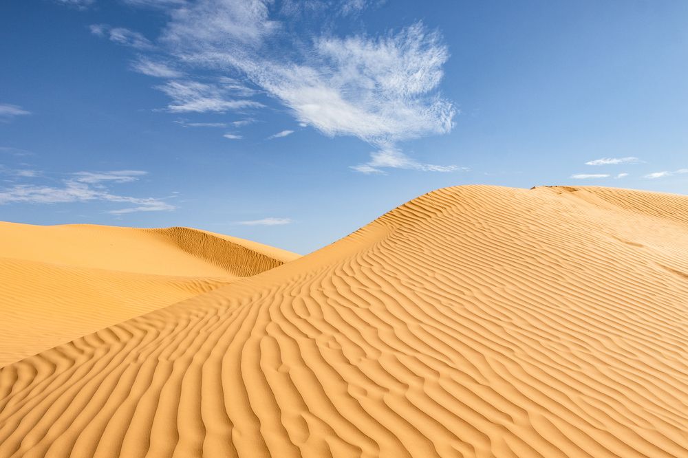 Windows in the Desert