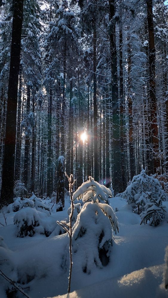 Фотография автора Artur ART