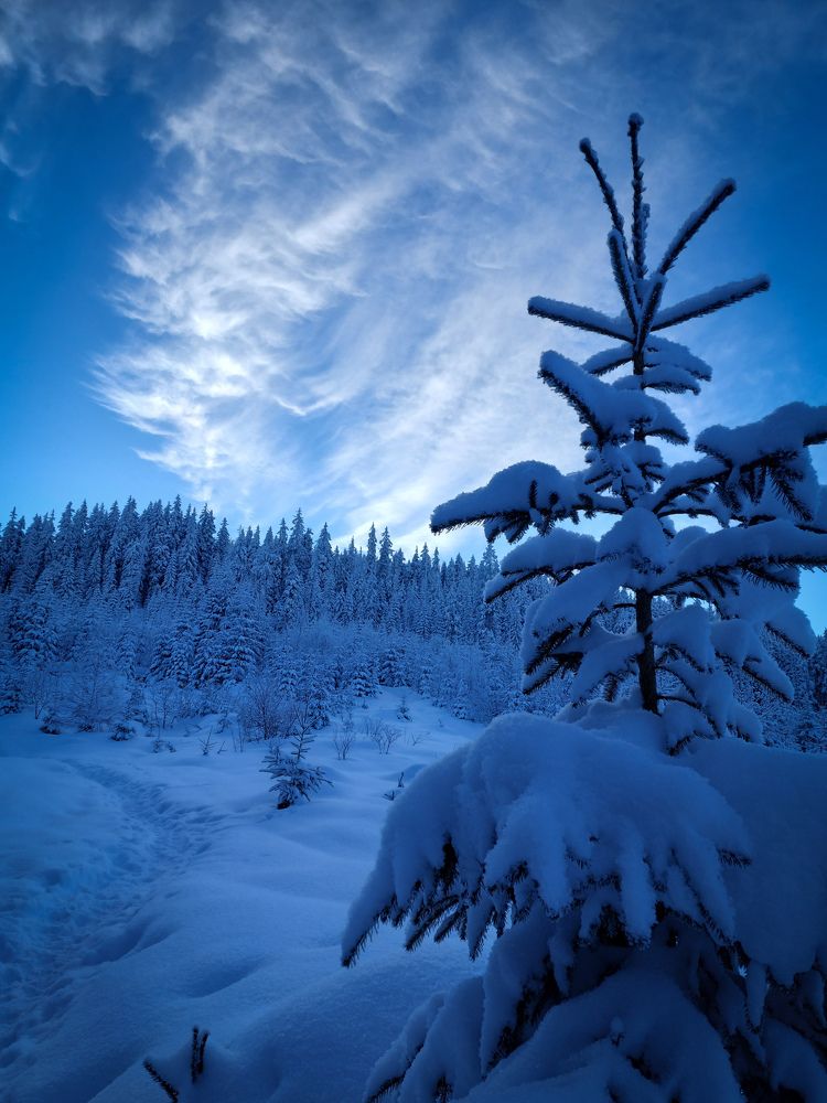 Фотография автора Artur ART