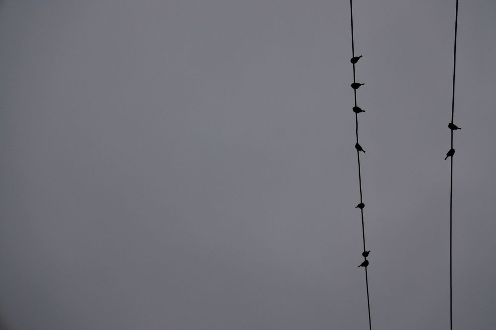 Фотография автора Artur ART