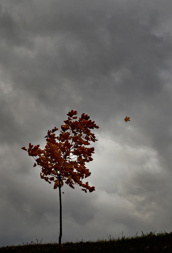 Photograph by Евгений Ковальчук