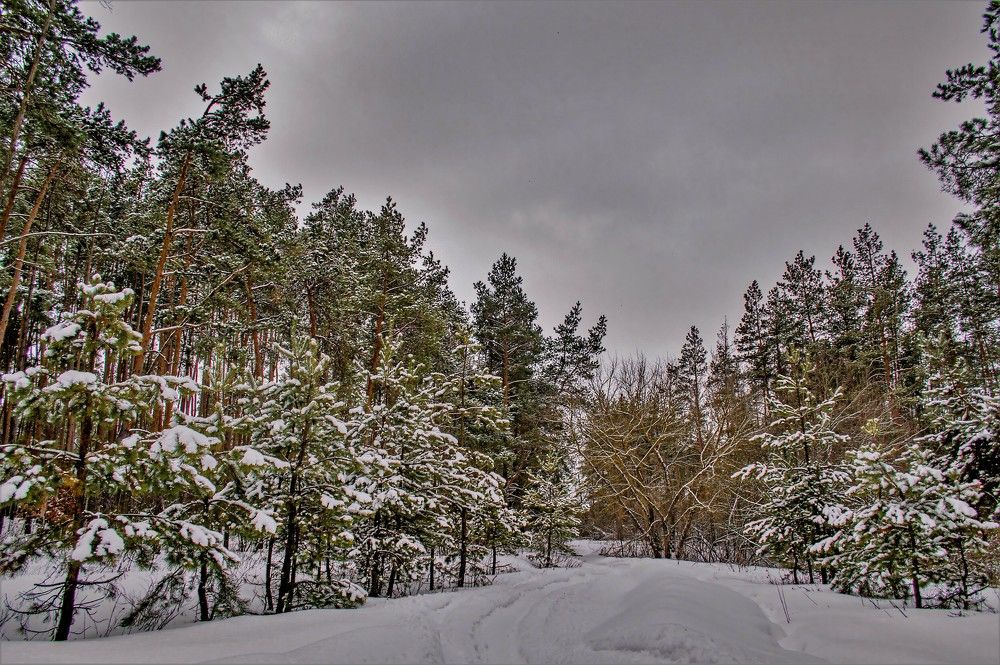 Photograph by Алексей Сиваков