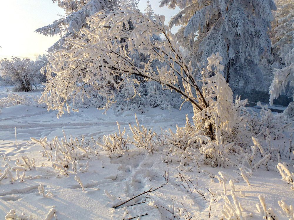 Photograph by Галина Искандарова