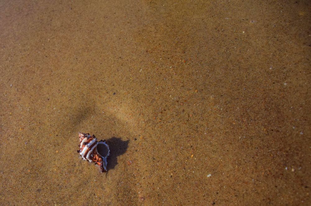 Фотография автора Альбина Хвастунова