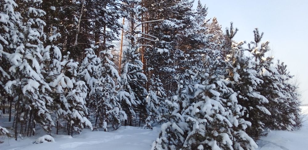 Photo #7081636