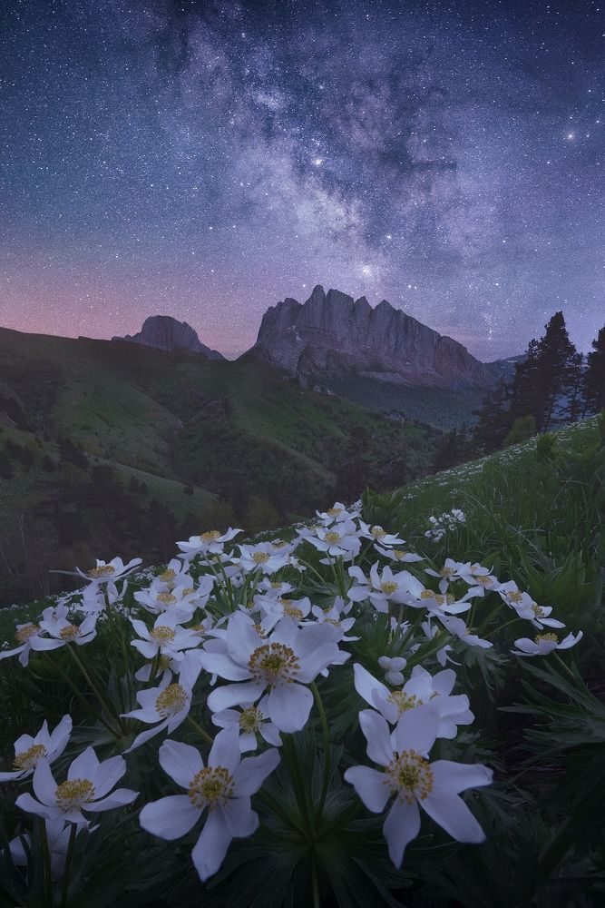 Photograph by Бахышев Сафар