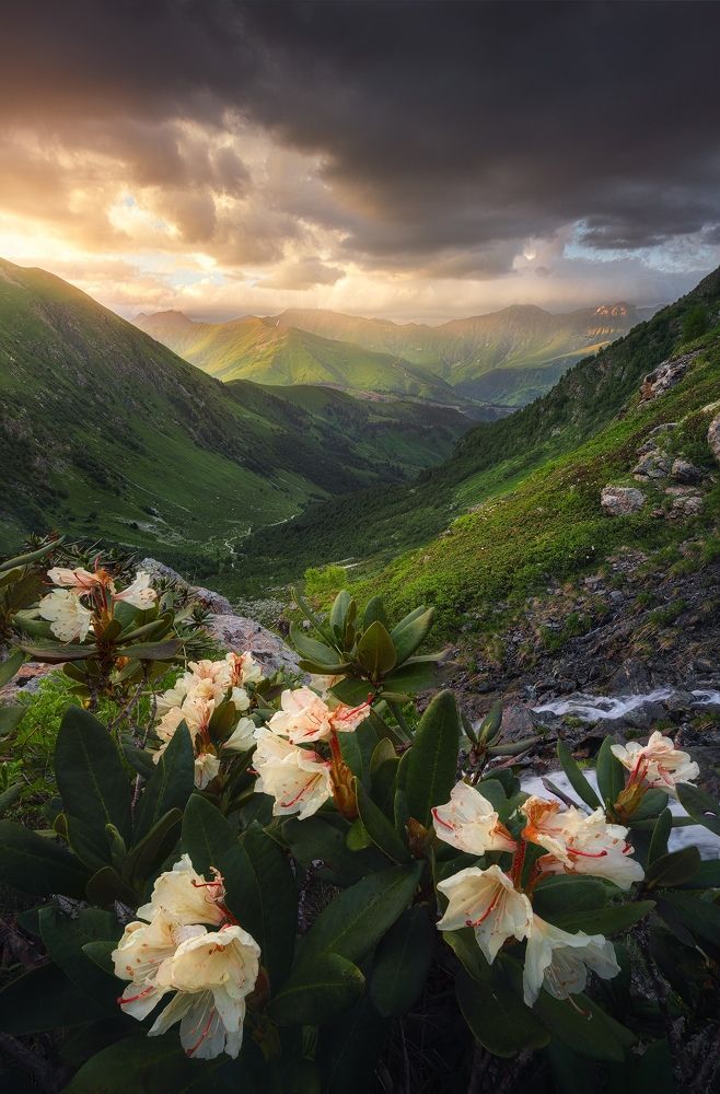 Photograph by Бахышев Сафар