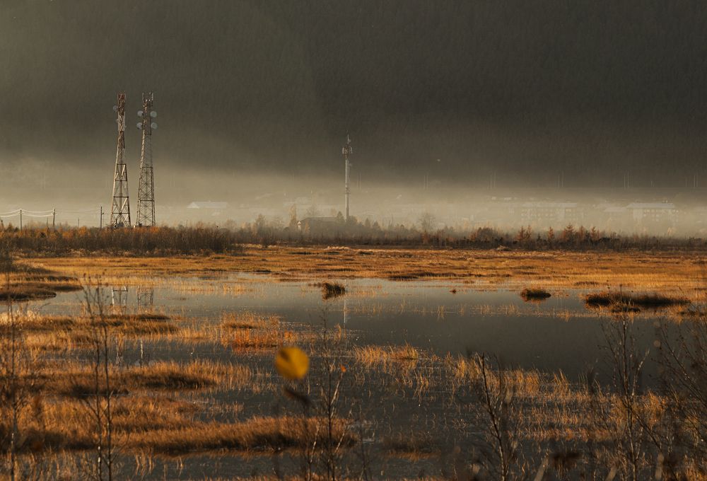 Фотография автора Лариса Кисурина