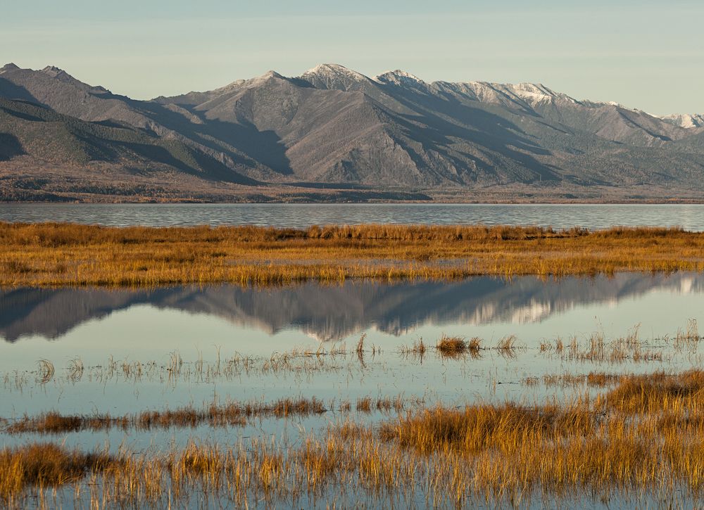 Фотография автора Лариса Кисурина
