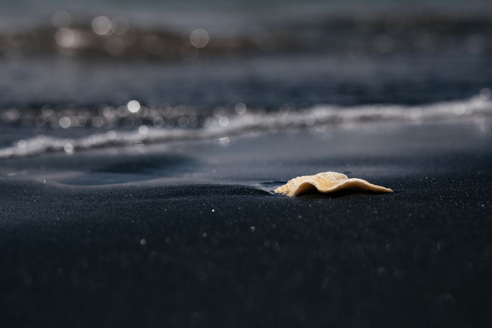 Photograph by Роман Дегтярев