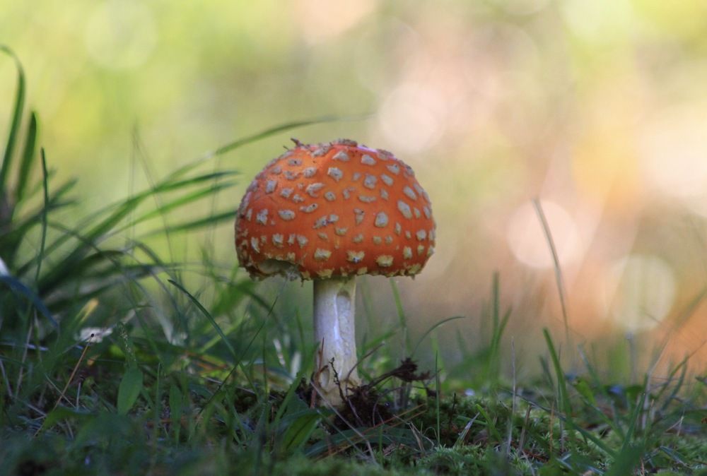 Photograph by Lilian Francisquete