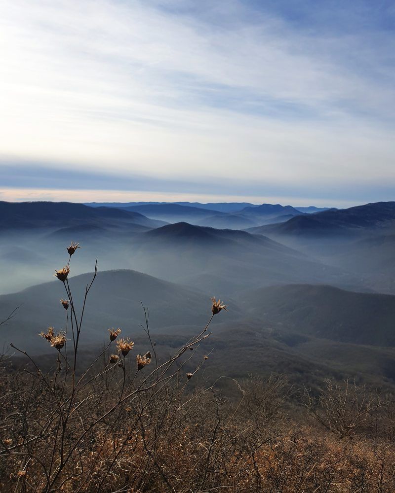 Photograph by Куликова Ирина