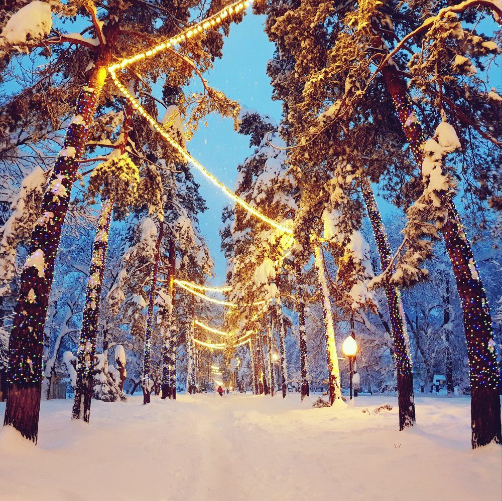 Photograph by Куликова Ирина