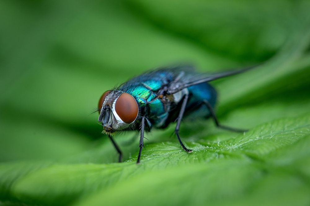 Фотография автора Зоя Галимова